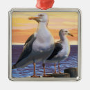 Suche nach möve ornamente Küste