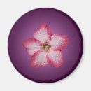 Suche nach violette blumen magnete Blätter