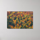 Suche nach orange blätter leinwandbilder Bäume