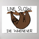 Suche nach funny sloth poster Faultier