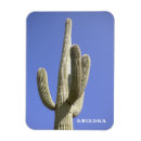 Suche nach saguaro cactus magnete Südwesten