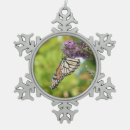Suche nach monarch butterfly ornamente Foto