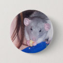 Suche nach ratte buttons Käse