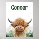 Suche nach cow Highland cow