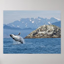 Suche nach humpback whale poster Säugetiere
