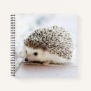 Suche nach igel kleine notizbücher Niedlich