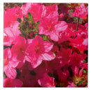 Suche nach azalee fliesen Blume