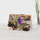 Suche nach glücklicher frühling karten Blume