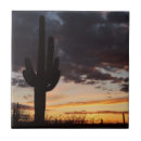Suche nach saguaro fliesen Sonnenuntergang