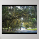 Suche nach spanish poster Tree