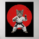 Suche nach judo poster Mixed martial arts