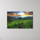 Suche nach plantage leinwandbilder Landschaft