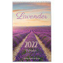 Suche nach lavendel kalender Blume