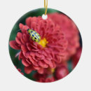 Suche nach käfer ornamente Natur