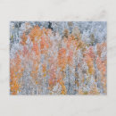 Suche nach aspen poster Snow