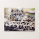 Suche nach wilde katzen puzzle Wild lebende tiere