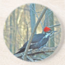 Suche nach specht untersetzer Vogelvogel