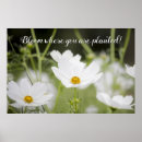 Suche nach gepflanzt poster Typografie