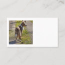 Suche nach schäferhund visitenkarten Welpe