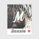 Suche nach türkey aufkleber Federn