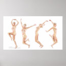 Suche nach weibliche anatomie poster Skelett