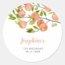Suche nach peaches aufkleber Aquarell