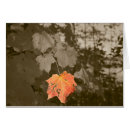 Suche nach fallfarbe Natur
