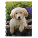 Suche nach goldene retriever kleine notizbücher Gelbretter