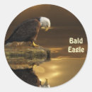 Suche nach eagles aufkleber Inspirierend