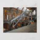 Suche nach dinosaurier skelett poster Natur