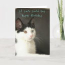 Suche nach alles gute zum geburtstag katze Lustig