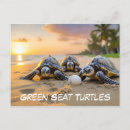Suche nach grüne meeresschildkröten postkarten Strand