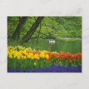 Suche nach teich postkarten Blume