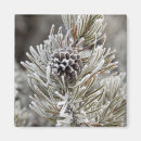 Suche nach nähen magnete Reise