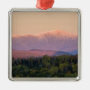Suche nach kappen ornamente Wald