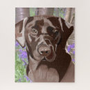 Suche nach brauner labrador puzzle Schokolade