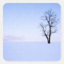 Suche nach akazien aufkleber Baum