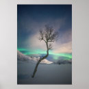 Suche nach northern lights poster Aurora borealis