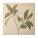 Suche nach kobalt fliesen Motif