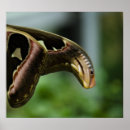 Suche nach flug poster Natur