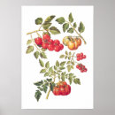 Suche nach obst poster Illustration