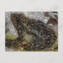 Suche nach kahlo postkarten Magdalena carmen