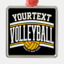 Suche nach mannschafts ornamente Volleyball