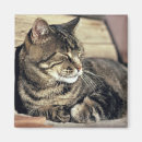 Suche nach hauptstädte magnete Vereinte staaten