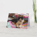 Suche nach weiße persische katze karten Für sie