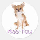Suche nach chihuahua aufkleber Chiwawa