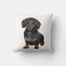 Suche nach dachshund kissen Haustier