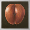 Suche nach 2012 poster Pflanze