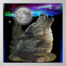 Suche nach wolf und mond poster Tierwelt