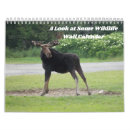 Suche nach wildlife kalender Elch